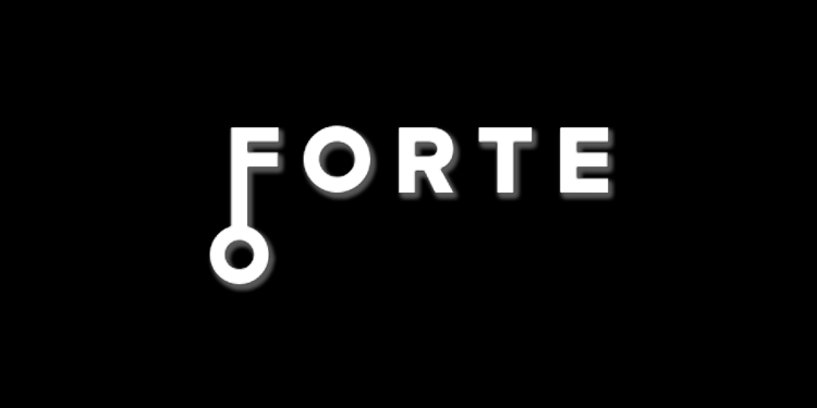 Forte closes $725M in Series B for its interoperable blockchain gaming ...