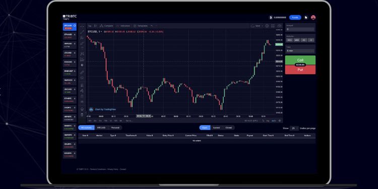 btc binary options